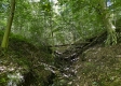 Tract 15 at The Woods on Wayne National Forest property photo