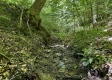 More of Tract 15 at The Woods on Wayne National Forest