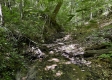 Tract 15 at The Woods on Wayne National Forest property photo