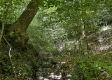 Tract 15 at The Woods on Wayne National Forest property photo