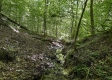 Tract 15 at The Woods on Wayne National Forest property photo