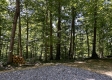 Tract 15 at The Woods on Wayne National Forest property photo