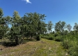 Tract 5 – Huston Hills property photo