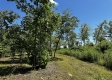 Tract 5 – Huston Hills property photo