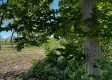 Tract 5 – Huston Hills property photo