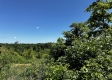 Tract 5 – Huston Hills property photo