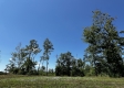 Tract 5 – Huston Hills property photo