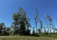 Tract 5 – Huston Hills property photo