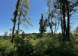 Tract 5 – Huston Hills property photo
