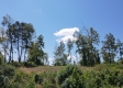 More of Tract 5 – Huston Hills
