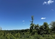 Tract 5 – Huston Hills property photo