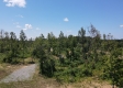 Tract 5 – Huston Hills property photo