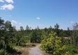 Tract 5 – Huston Hills property photo