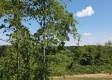 Tract 5 – Huston Hills property photo