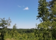 Tract 5 – Huston Hills property photo