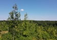 Tract 5 – Huston Hills property photo