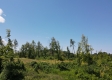 Tract 5 – Huston Hills property photo