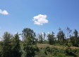 Tract 5 – Huston Hills property photo
