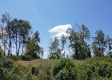Tract 5 – Huston Hills property photo