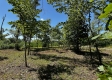 More of Tract 5 – Huston Hills