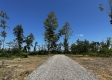 More of Tract 5 – Huston Hills