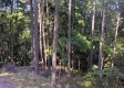 Tract 1 - The Caves at Keystone property photo