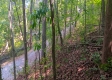 Tract 1 - The Caves at Keystone property photo