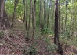 Tract 1 - The Caves at Keystone property photo