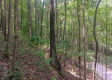 Tract 1 - The Caves at Keystone property photo