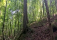 More of Tract 1 - The Caves at Keystone