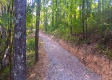 Tract 1 - The Caves at Keystone property photo