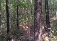 Tract 1 - The Caves at Keystone property photo