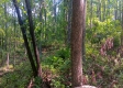 Tract 1 - The Caves at Keystone property photo