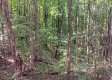 Tract 1 - The Caves at Keystone property photo