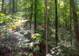 Tract 1 - The Caves at Keystone property photo