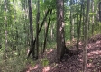 Tract 1 - The Caves at Keystone property photo
