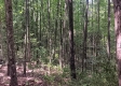 Tract 1 - The Caves at Keystone property photo