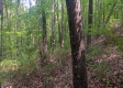 Tract 1 - The Caves at Keystone property photo