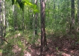 Tract 1 - The Caves at Keystone property photo