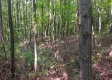 Tract 1 - The Caves at Keystone property photo
