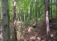 Tract 1 - The Caves at Keystone property photo