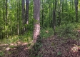 Tract 1 - The Caves at Keystone property photo