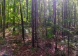 Tract 1 - The Caves at Keystone property photo