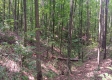 Tract 1 - The Caves at Keystone property photo