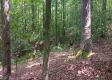 Tract 1 - The Caves at Keystone property photo