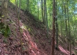 Tract 1 - The Caves at Keystone property photo