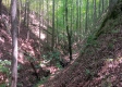 Tract 1 - The Caves at Keystone property photo