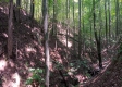 Tract 1 - The Caves at Keystone property photo