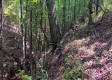 Tract 1 - The Caves at Keystone property photo