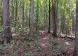Tract 1 - The Caves at Keystone property photo